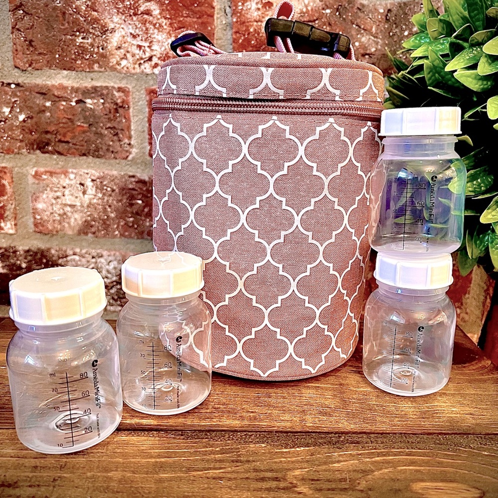 Insulated Bottle Bag With Set of 4 Milk Storage Bottles